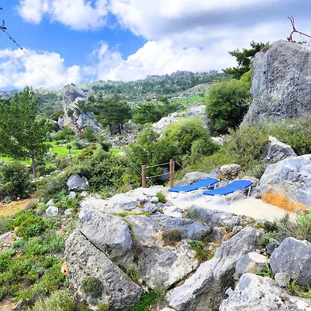 M - With Private Pool And Yard Villa *